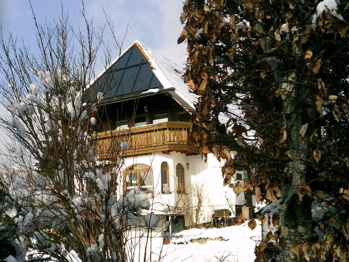 Ferienwohnung Haus Barbara Braunlingen Ngoại thất bức ảnh